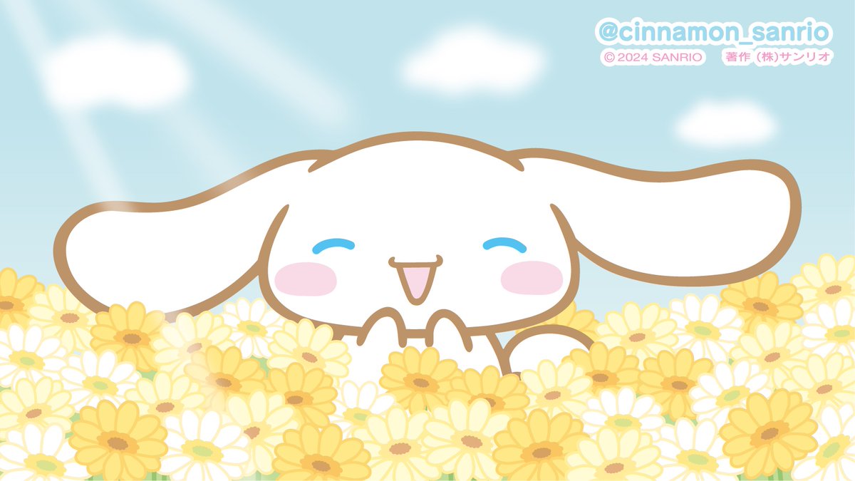 シナモン【公式】 tweet media