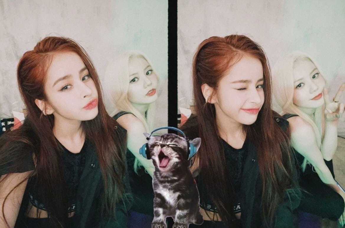 𝐷os lindas listas para mover sus patitas hasta el #𝐆ue𝕣ri𝐥laz𓊆到着𓊇𝐉a𝚙an (*˘︶˘*) que incluso nos saltamos la 𝕤iesta con tal de llegar a tiempo y poder estas con mis piciosos para mostrarles todos mis 𝕔arteles de amor. 

𝕖na͜m𖦹𝕣(h)adā ✺ . ࿓ #𝐥üv𝕚nā !