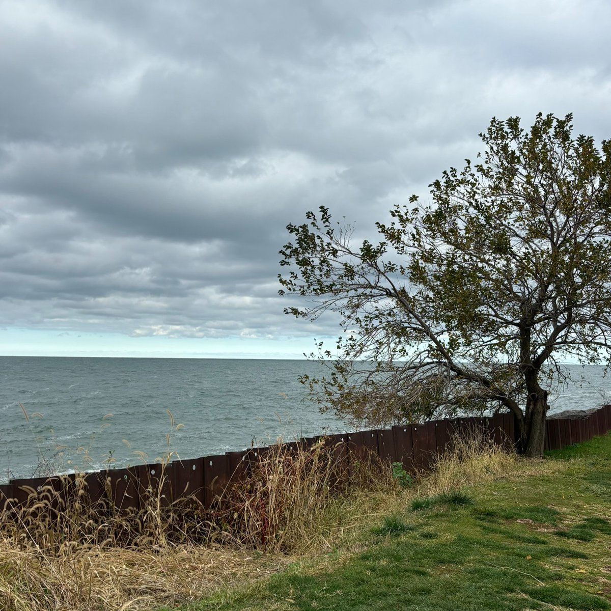 portofcleveland's tweet photo. Need a break from the hustle and bustle? Head over to the Cleveland Lakefront Nature Preserve! π¦
π
π 8701 Lakeshore Blvd.
Come explore the beauty of Cleveland's natural side!
#ClevelandLakefrontNaturePreserve #GetOutside #UrbanNature #LakeErie #WildlifeWonder #ClevelandParks https://t.co/qa9MoFou4d