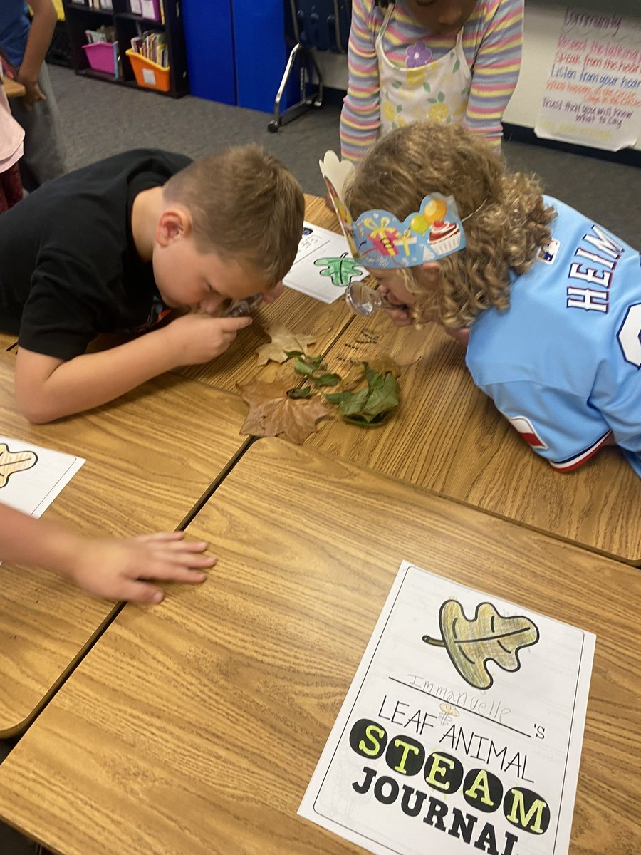 Our 2nd graders at McGowen were investigation leaves and completing leaf math for National STEAM Day! <a href="/McGowenES/">McGowen Elementary</a> <a href="/McKinneySTEAM/">MISD STEAM</a>