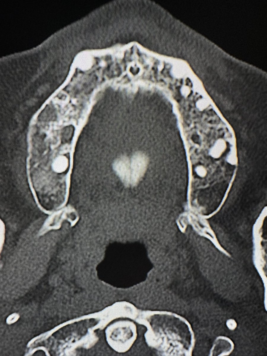 This man’s palate loves you!