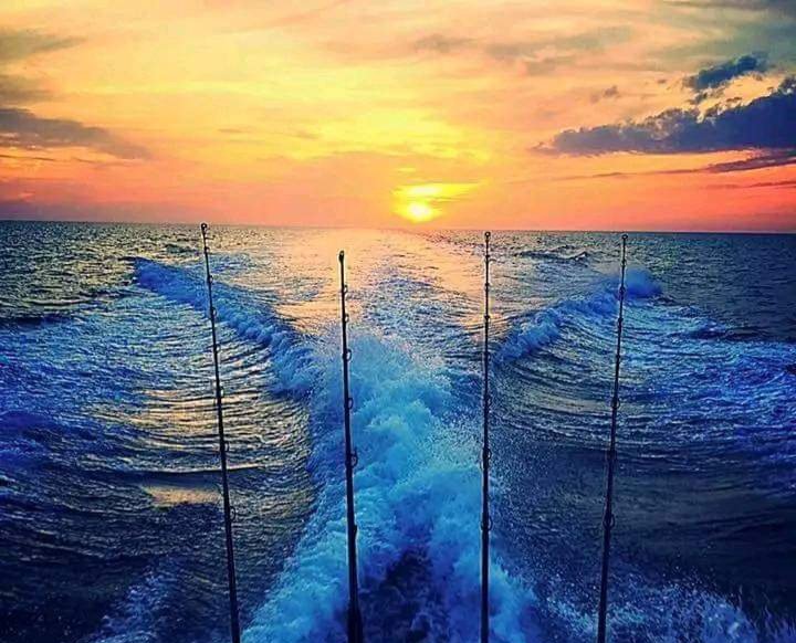 Capitaine_Jon's tweet photo. Veterans weekend just started,
Make it Swell! ๐บ๐ธ๐ซก๐๐ฝ
#Marine #Maritime #StormHour #ThePhotoHour #VeteransDay2024 #Veteransweekend #VeteransDay
#Veterans #Honorthem #Respect #Leisure
#GoodNight #Weekend https://t.co/wgFJWvkvqM