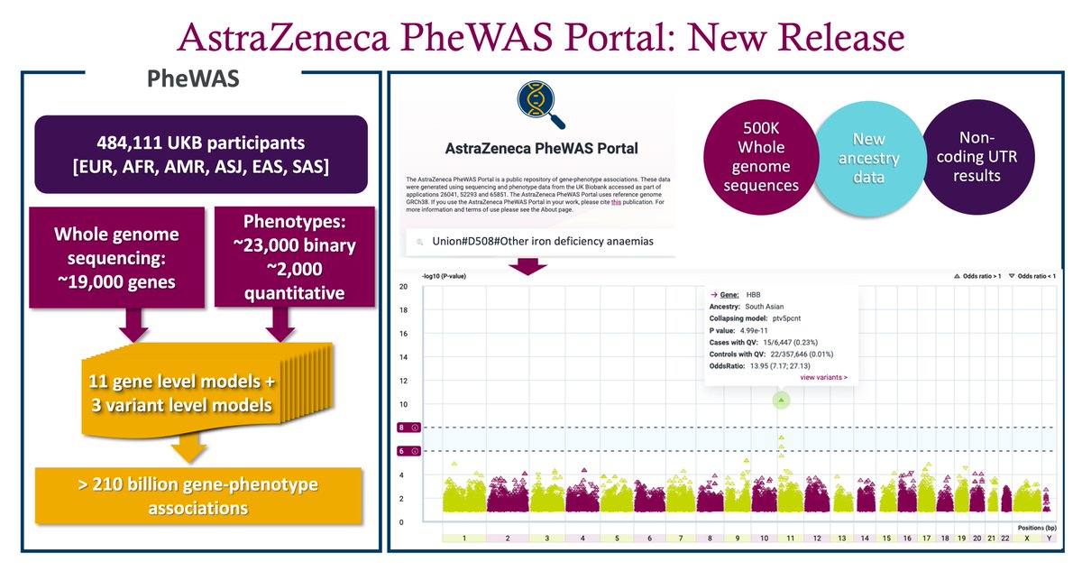 Eleanor (@eleanorwheeler) on Twitter photo New release of the <a href="/AstraZeneca/">AstraZeneca</a> PheWAS Portal! azphewas.com now includes results from ~500k <a href="/uk_biobank/">UK Biobank</a> participant genomes across 6 ancestries and non-coding UTR results from our preprint tinyurl.com/ukb500kwgs! New release of the <a href="/AstraZeneca/">AstraZeneca</a> PheWAS Portal! azphewas.com now includes results from ~500k <a href="/uk_biobank/">UK Biobank</a> participant genomes across 6 ancestries and non-coding UTR results from our preprint tinyurl.com/ukb500kwgs!