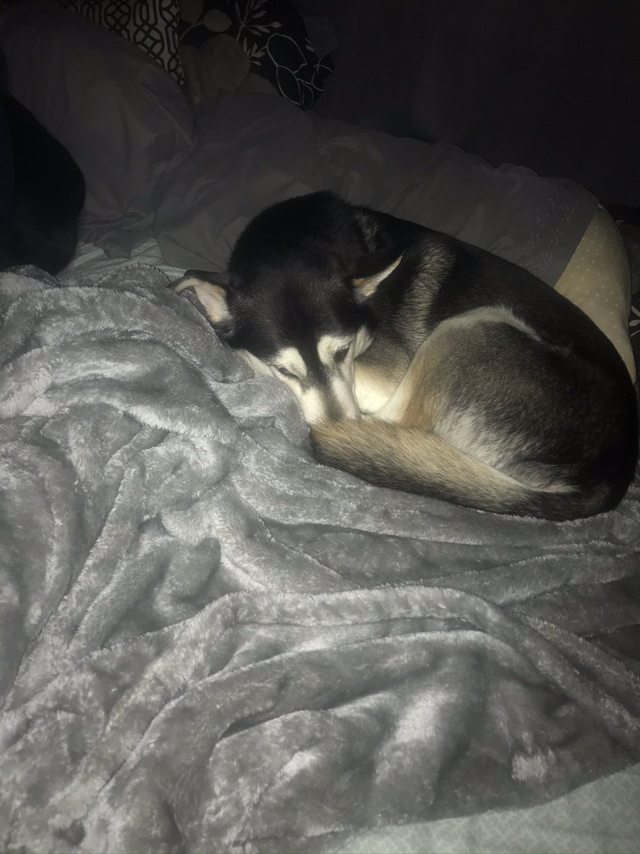 Cody | Arial tweet media