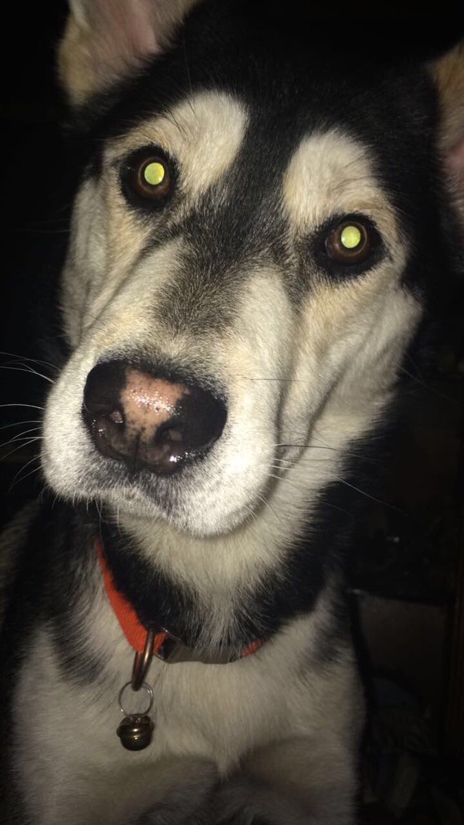 Cody | Arial tweet media