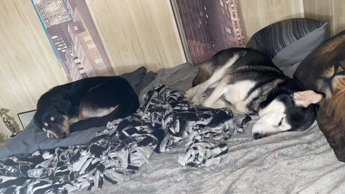 Cody | Arial tweet media