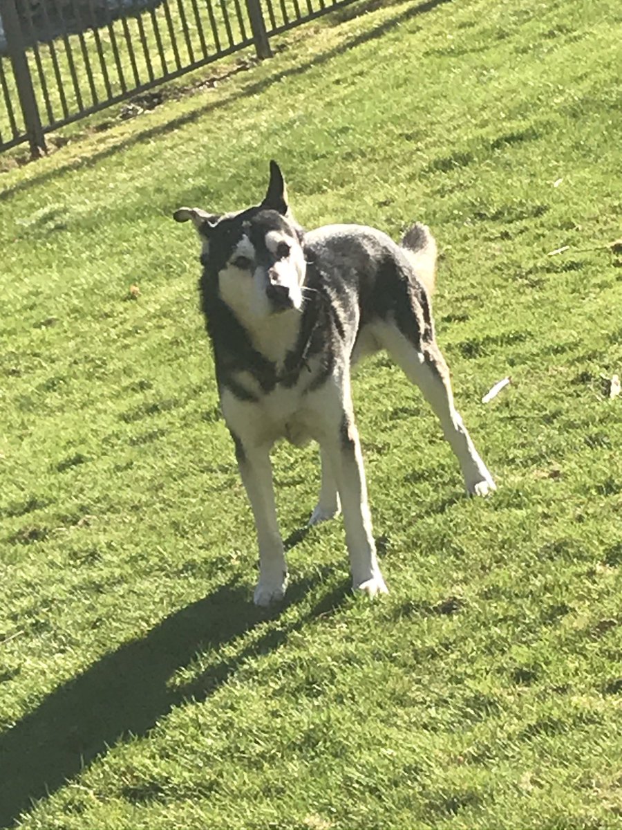 Cody | Arial tweet media