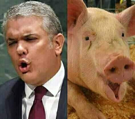 Jajaja...