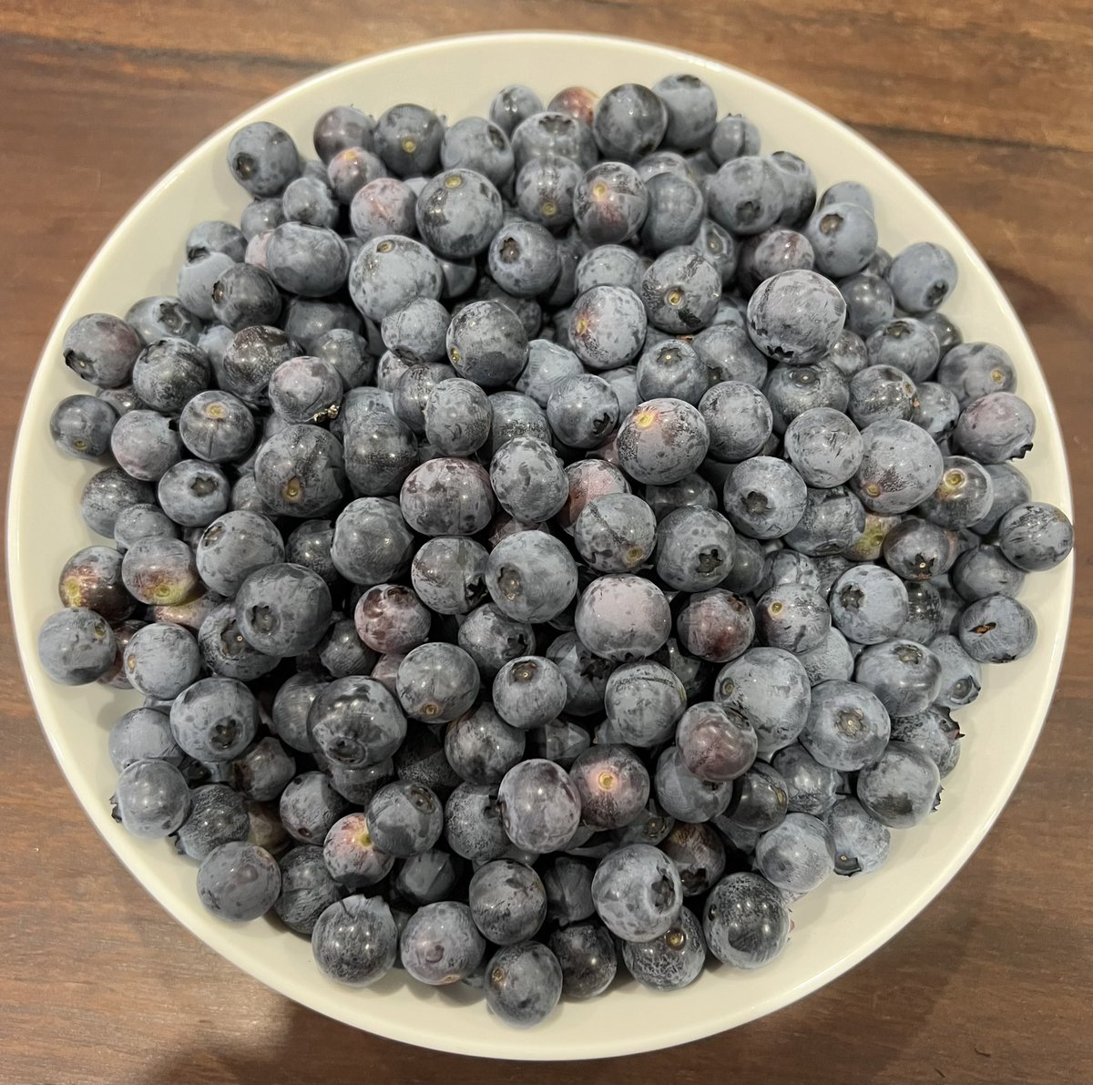 Professor Jenny Sim (also on BlueSky) tweet media