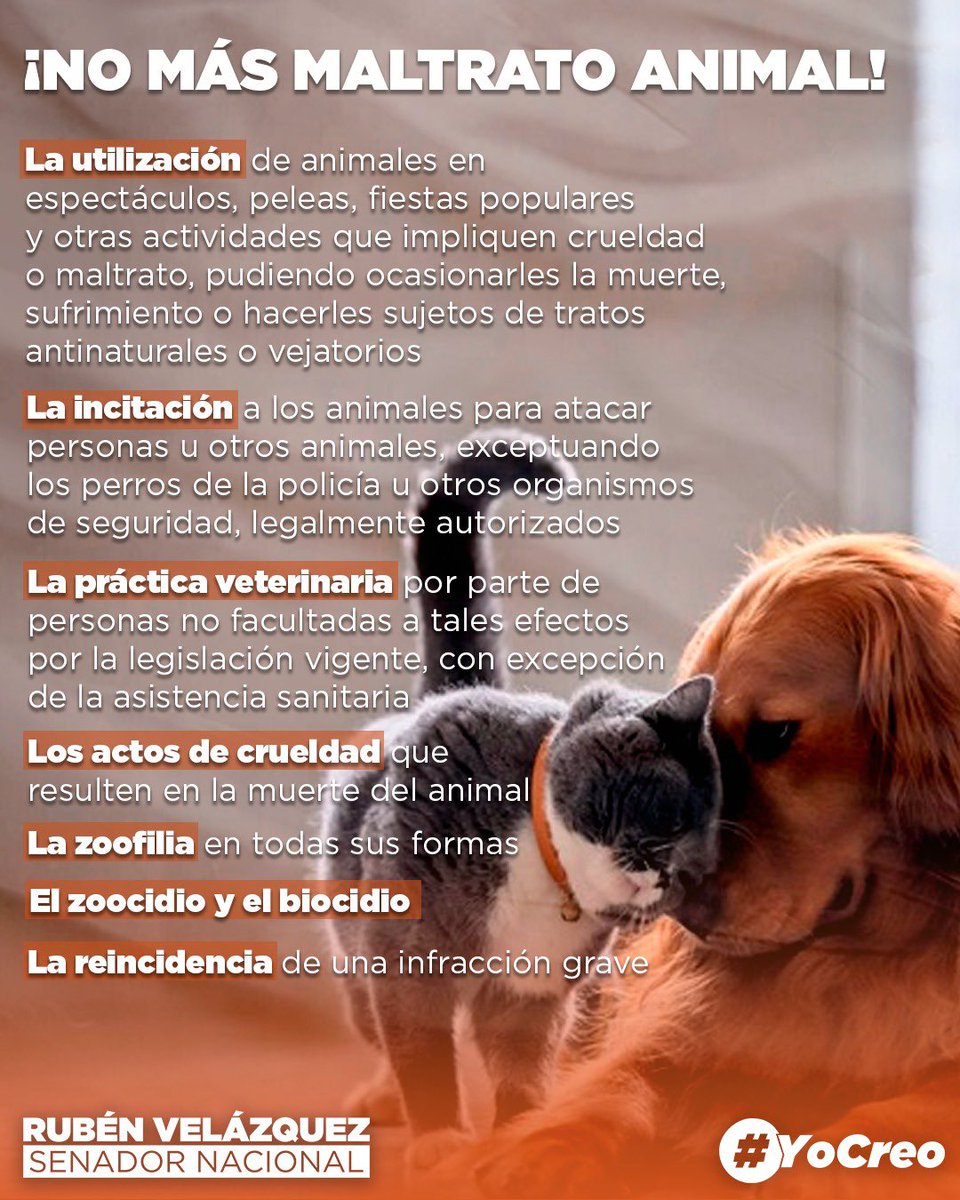 ruvelazquezpy's tweet photo. Promulgada y en vigencia la Ley que aumenta las penas por maltrato animal 💪🏻📄🇵🇾

Un logro que fue posible gracias al apoyo de todos ustedes 🐶🐱🐹

Querés saber qué contempla? Te dejamos toda la info sobre el Proyecto ✨ https://t.co/FAA1VXj5qB