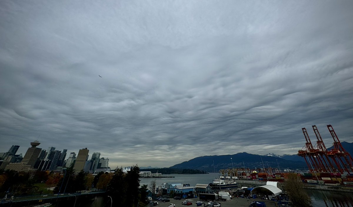 craigminielly's tweet photo. More funky clouds, that are actually quite pretty as they wash over the city, ahead of our long rain forecast and #BCStorm #OutMyWindow https://t.co/LKe0z0fNr7