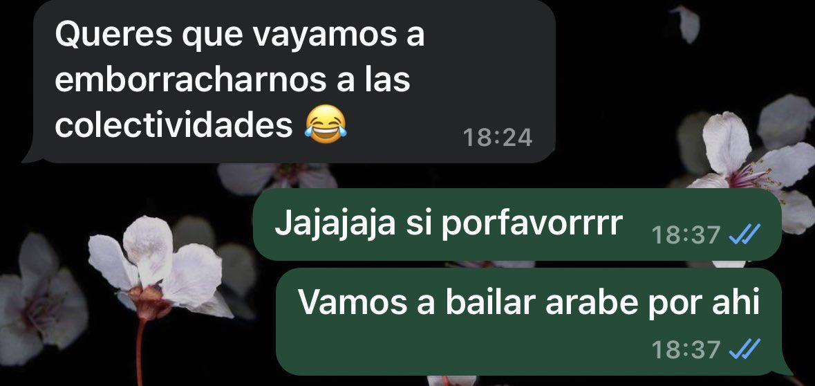 Dijo y me conquistó 🤣