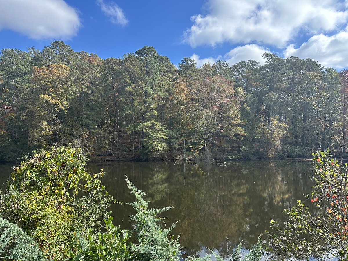 Talejah1's tweet photo. 5th grade had an unforgettable adventure today at the Chattahoochee Nature Center! From exploring wildlife to hands-on learning, it was an incredible field trip full of discovery and fun. #FieldTripFun #ChattahoocheeNatureCenter #NatureLearning @ConleyHillsCubs @WildernessINQ https://t.co/gkbwV0FSq9