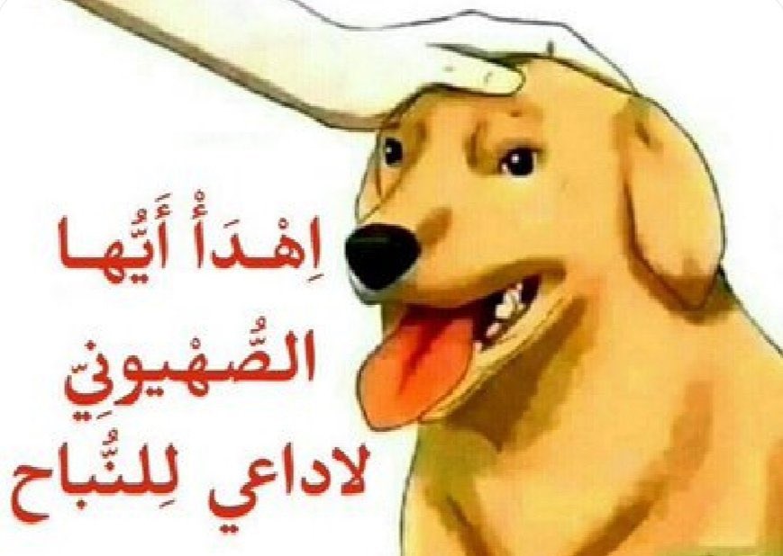 Anassd049's tweet photo. @quebeqarboua https://t.co/zVZj9Nyx3F