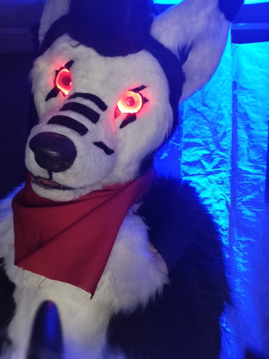 Lightningandro2's tweet photo. Do wanna come to play or a hug😁♥️🤗 #FursuitFriday #furries #furryfriends https://t.co/9hdKfICKEH