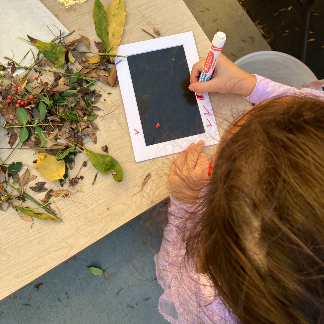 Ground Education tweet media