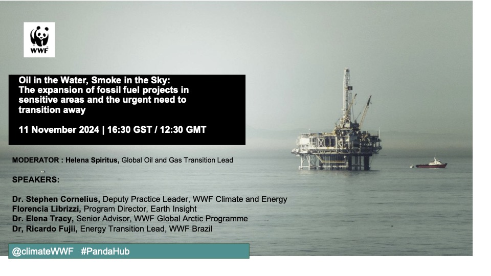Earth Insight (@earth_insight) on Twitter photo Join us on 11/11 at 16:30 GST in the #COP29 Panda Pavilion for a crucial discussion on phasing out #fossilfuels in sensitive environments. We’ll explore pathways to safeguard fragile ecosystems from Arctic to Amazon. Hosted by <a href="/WWF_Arctic/">WWF Global Arctic Programme</a>. Watch live: youtube.com/@WWFClimate/st… Join us on 11/11 at 16:30 GST in the #COP29 Panda Pavilion for a crucial discussion on phasing out #fossilfuels in sensitive environments. We’ll explore pathways to safeguard fragile ecosystems from Arctic to Amazon. Hosted by <a href="/WWF_Arctic/">WWF Global Arctic Programme</a>. Watch live: youtube.com/@WWFClimate/st…