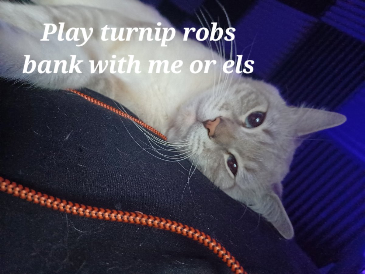 MangoPipsqueaks's tweet photo. A bit late to do promo so I asked shrine cat to help me put with it tonight. This is what he gave me....

Anyway Playing turnip robs a bank at 8pm PST! https://t.co/QO26jzNsPy