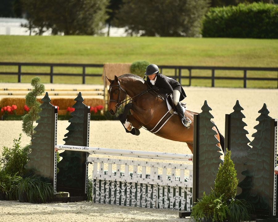 🏆 Stephanie Frey and Storyville secured the $12,500 Golden Ocala 3'6"-3'9" Hunter Derby victory! 

Read about all three derbies at bit.ly/48KtolJ.