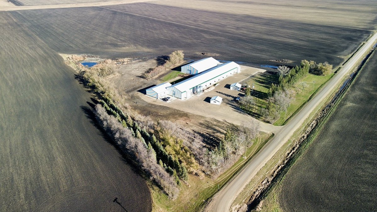 harleysiemens's tweet photo. Our next expansion is under way at Manova! Converting this site to a @VencomaticGroup free run aviary barn. Can’t wait to start building this coming spring with @PennerFarm. #aviary #freerun #eggs #eggfarming https://t.co/307FdPJgUT