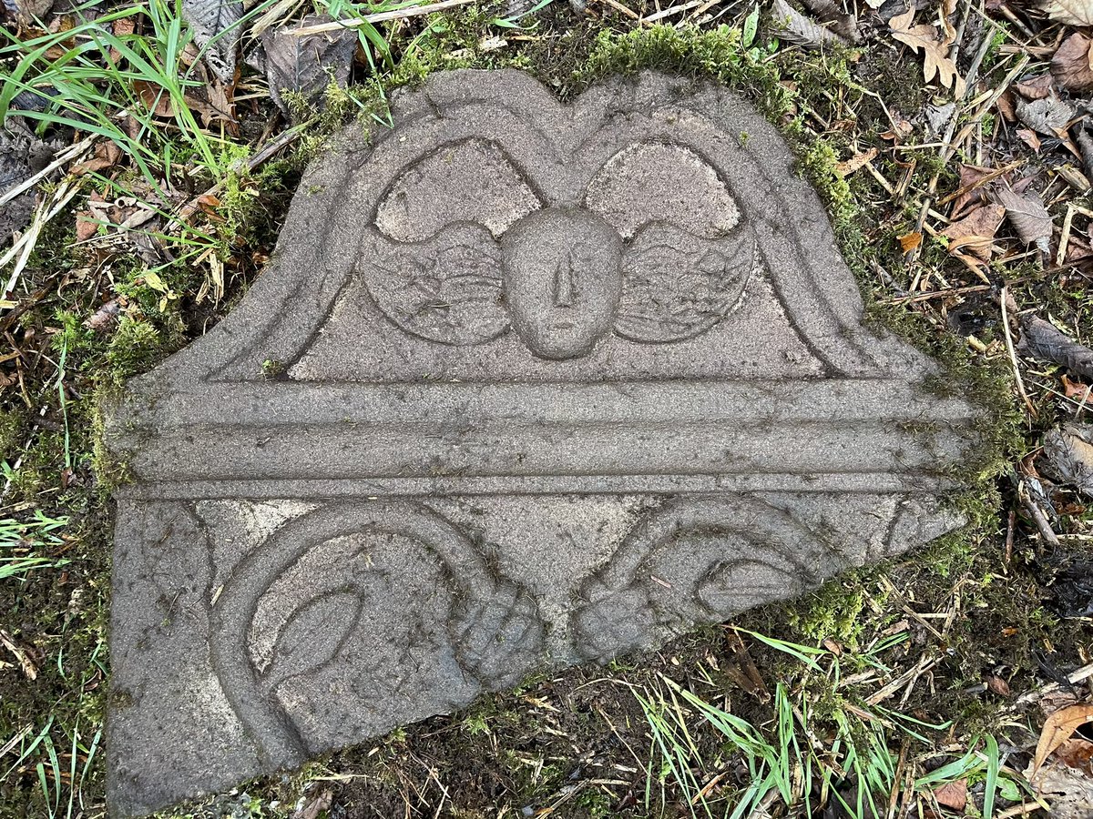 Spotted this discarded fragment of a broken gravestone today.  Gave it a clean up to reveal a nice carving of a winged spirit above fruiting vines.  Such vines were a popular image on 18thC gravestones in this area due to their association with Christ &amp; the word of God.