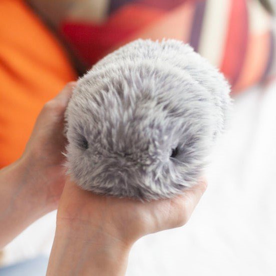 $moflin CTO is LIVE

pump.fun/EXs2kifYUJ4JUF…