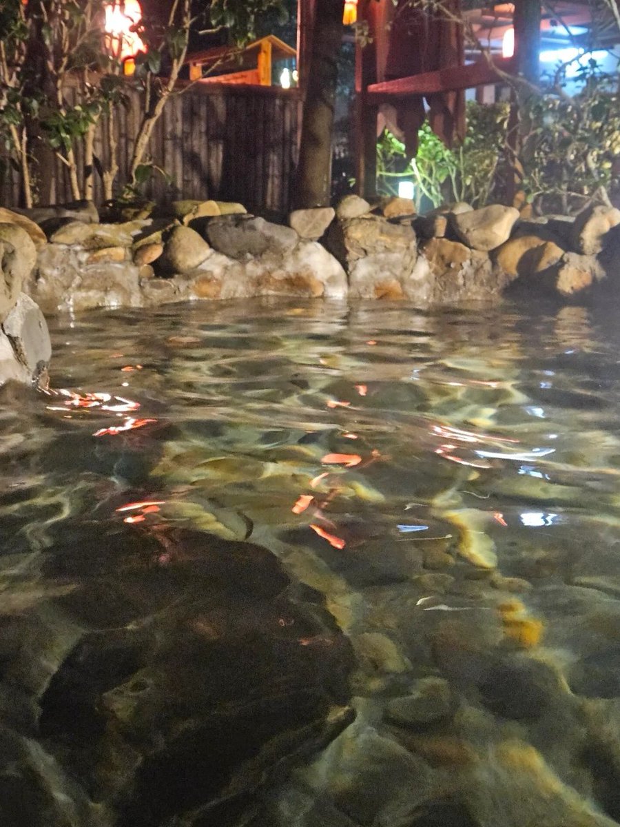 #日本の温泉 毎年恒例の温泉入浴♨️♨️
