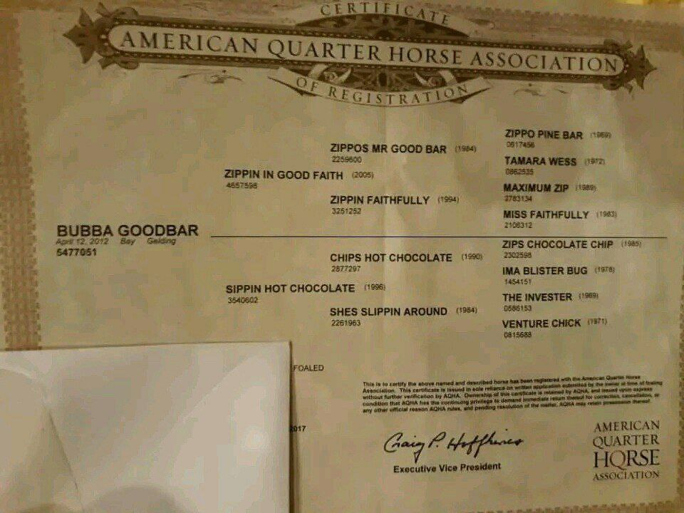 andywalker199's tweet image. Age:15/Gender:Mare/Height:16.2hands/Colour:Pale Yellow/Price:7500$🦄🦄🦄👌👌👌