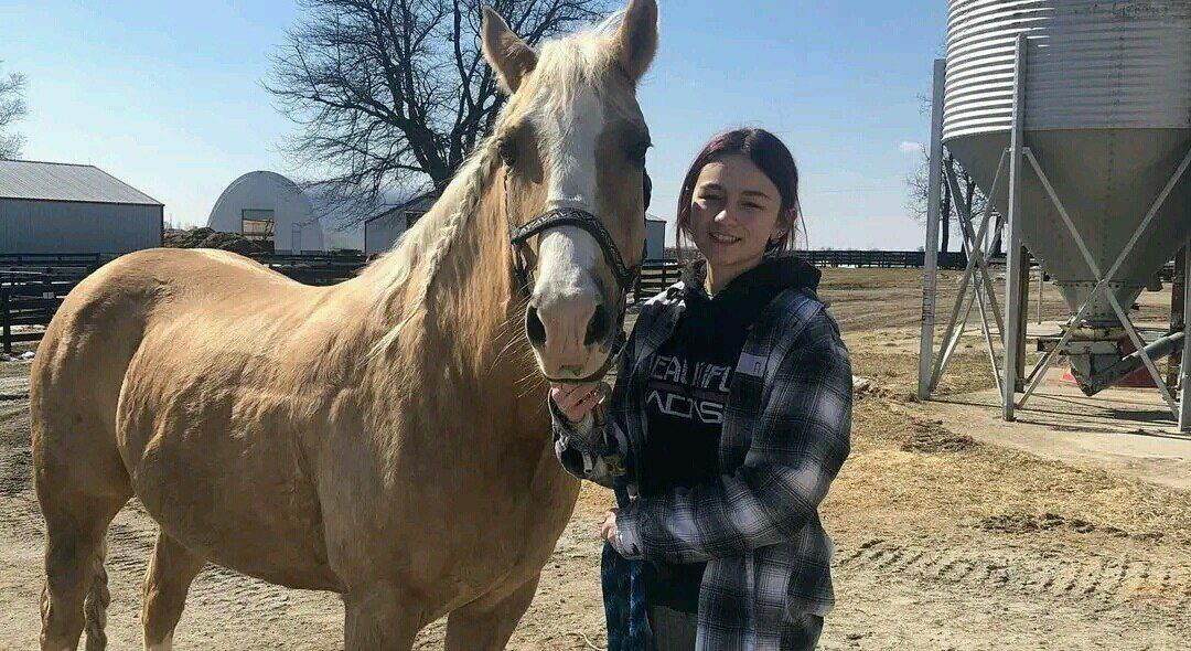 andywalker199's tweet image. Age:15/Gender:Mare/Height:16.2hands/Colour:Pale Yellow/Price:7500$🦄🦄🦄👌👌👌