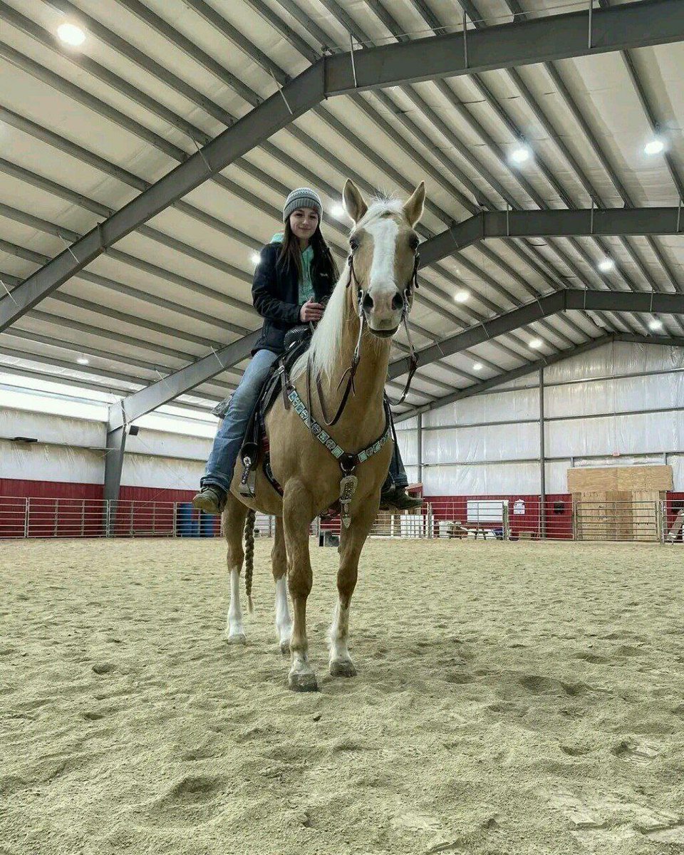 andywalker199's tweet image. Age:15/Gender:Mare/Height:16.2hands/Colour:Pale Yellow/Price:7500$🦄🦄🦄👌👌👌