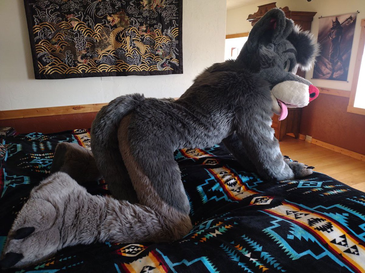 'Four on the floor' &lt; 'On all fours'

🪡 <a href="/FursuitParade/">Fursuit Parade</a>
📸 <a href="/Riverwulf/">River</a>
#FursuitFriday