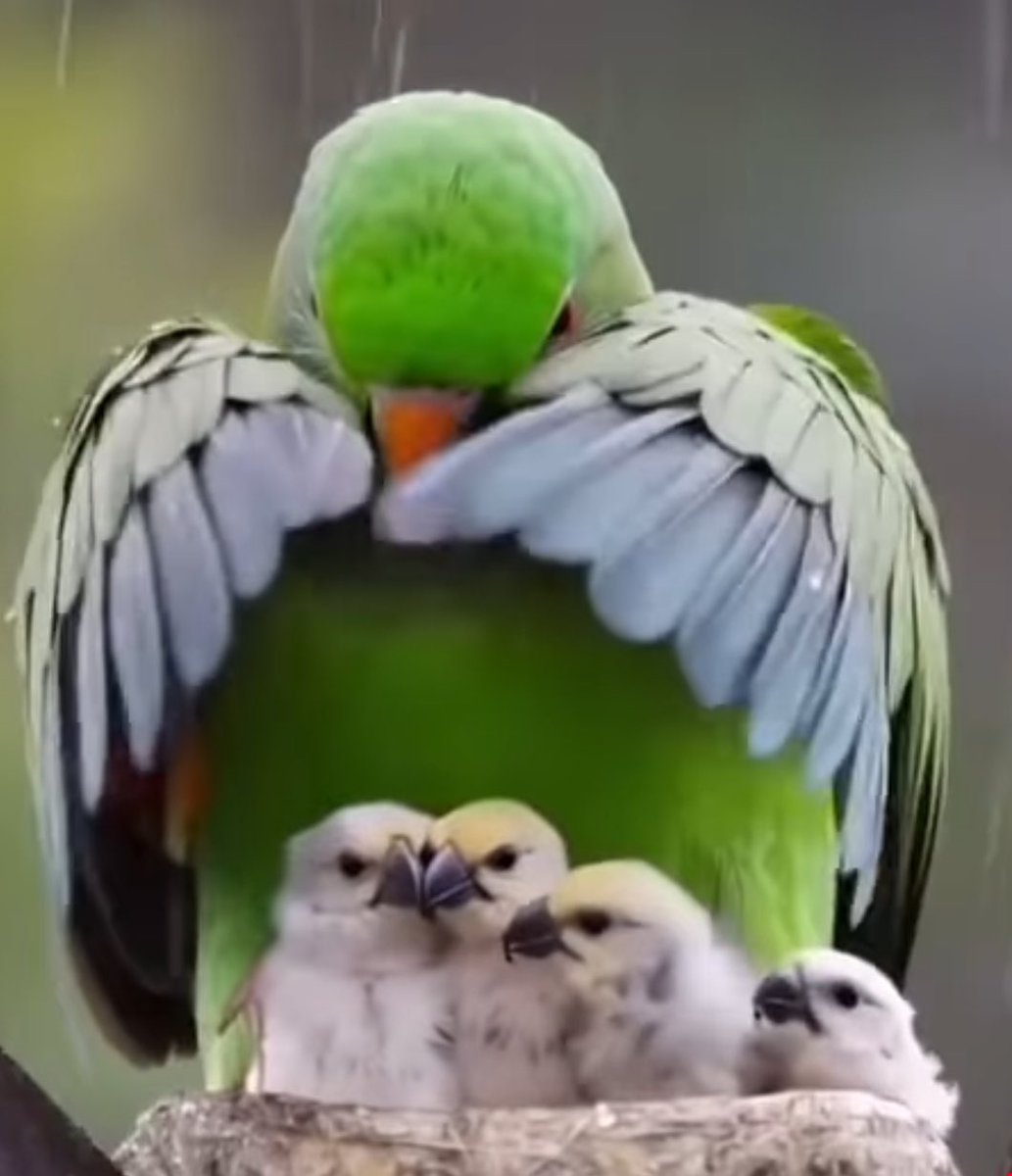 My feelings during this rainy night on location: