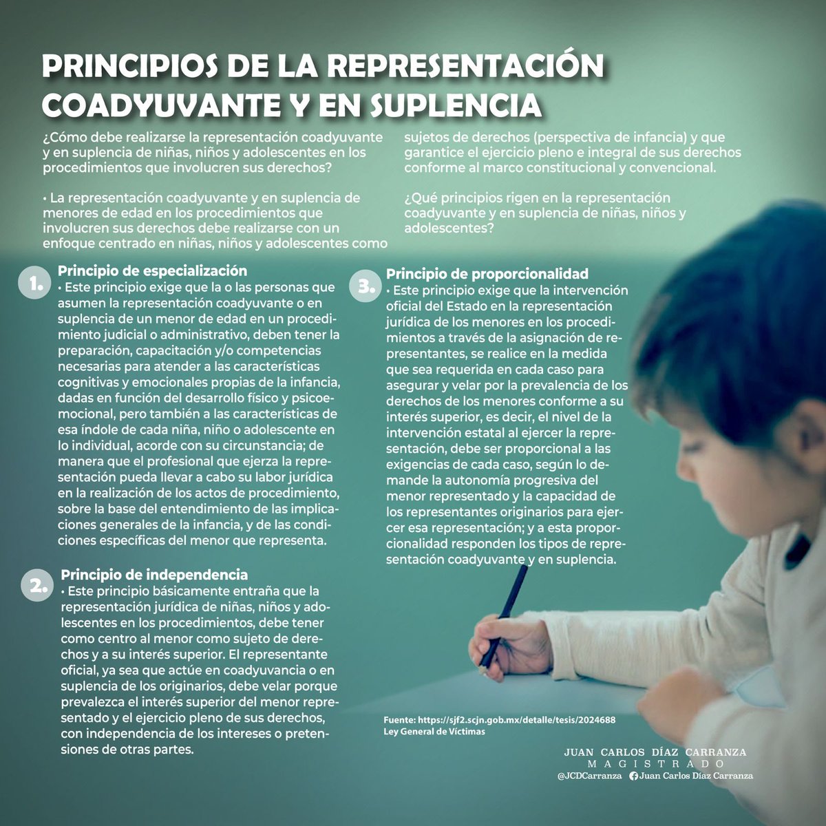 PRINCIPIOS DE LA REPRESENTACIÓN COADYUVANTE Y EN SUPLENCIA

La representación jurídica de menores de edad proporcionada por el Estado debe ejercerse por profesionales en los derechos fundamentales de niñas, niños y adolescentes. 

Esta representación jurídica oficial tanto