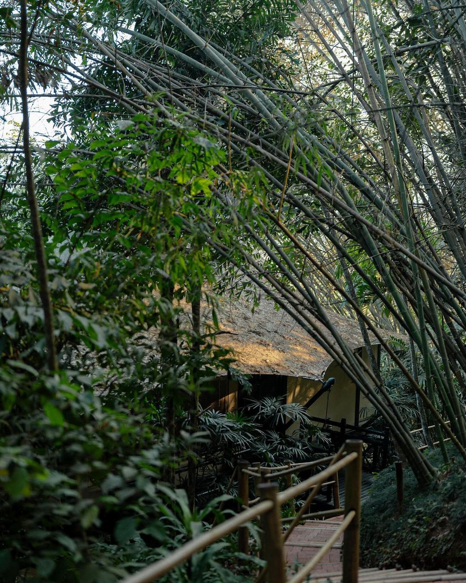 FSThailand's tweet image. Get set #glamp! Buckle up for an unforgettable journey into the untamed wilderness of the #goldentriangle. Connect with the great outdoors in the most exciting way possible through the link in the bio. #fstentedcamp #offthegridwithfs  📷 iamannie_uu