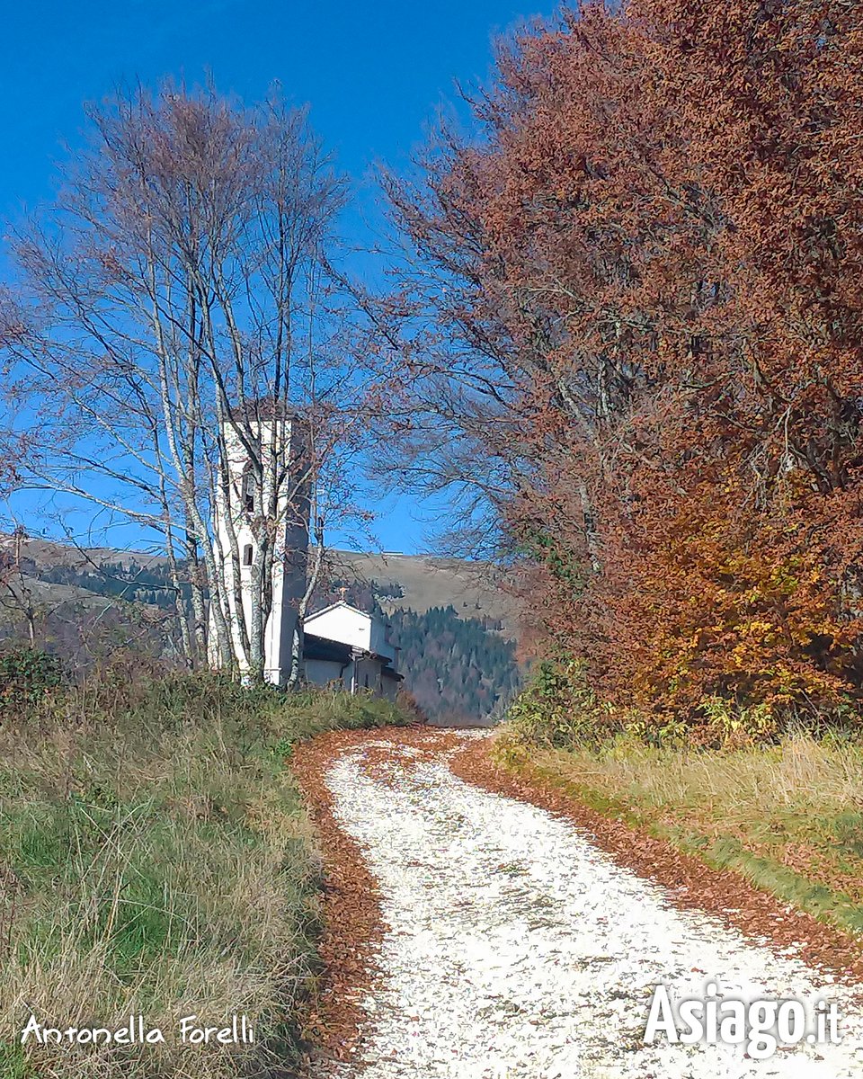 AsiagoIt's tweet photo. Avete mai percorso questo #sentiero? 🙂
BUON SABATO AMICI! Stamattina vi portiamo a #Foza fino alla Chiesetta di San Francesco immersa nei colori autunnali. 🍁🧡
Foto 2/11/24
#Asiagoit #altopianodiasiago #Veneto #montagna #natura #outdoor #autunno https://t.co/AcGP2G7fE1