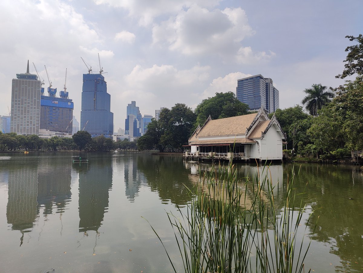 Fang Wang tweet media