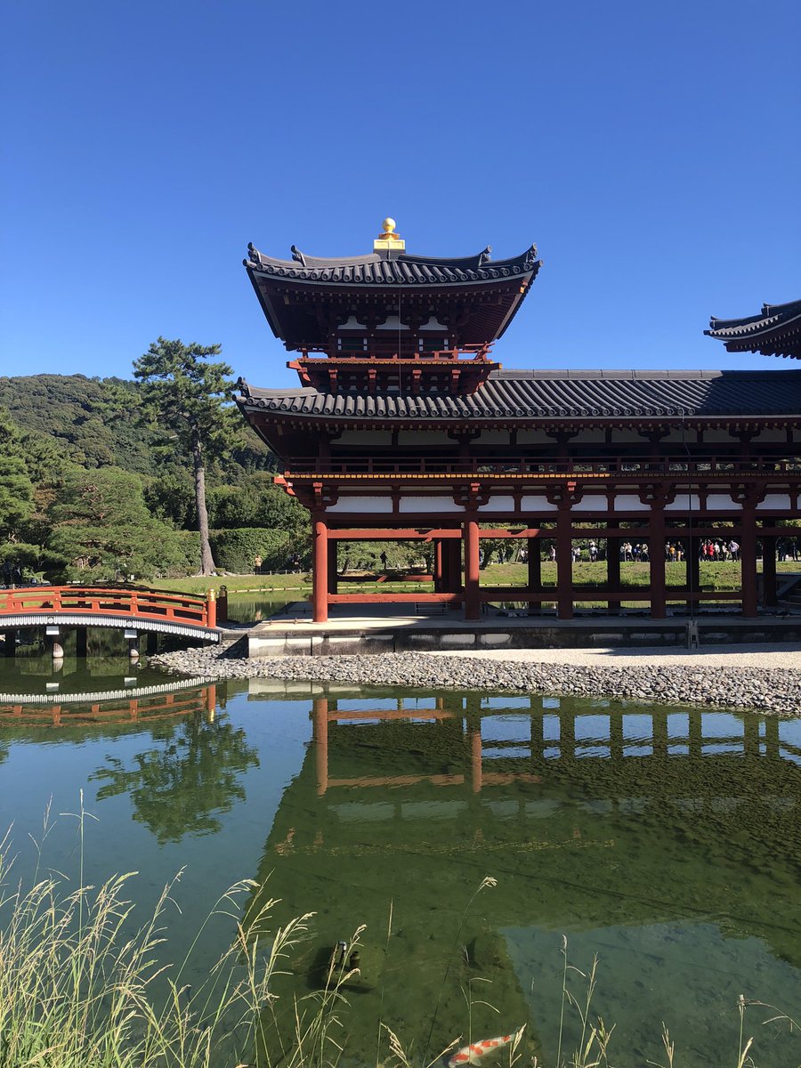hiroto77111's tweet photo. 今、平等院にいます！
天気が良く暑いくらいです
外国人の方だらけですね https://t.co/0jhm8MzUqF