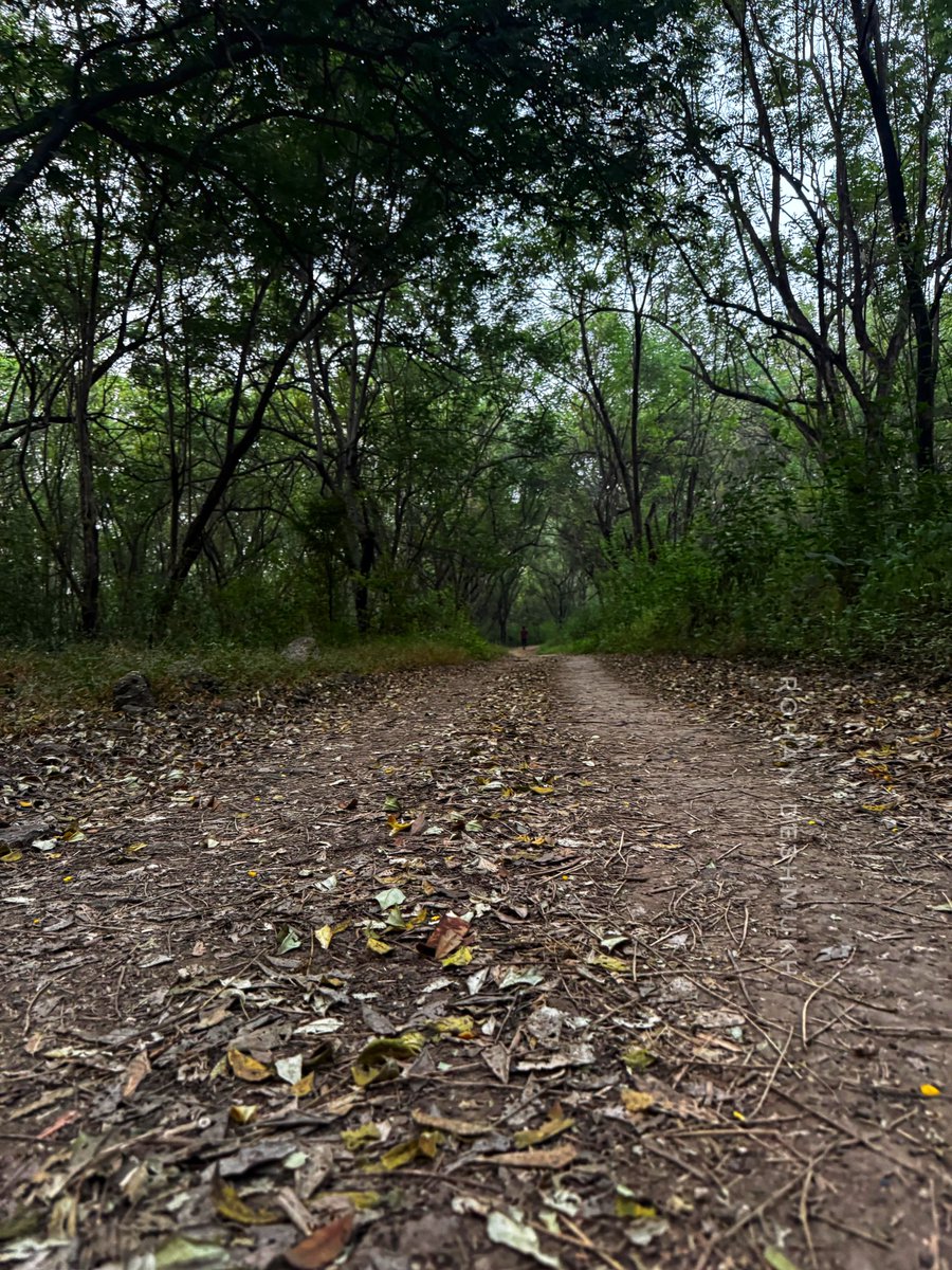 lifentimesofrd's tweet image. My first time today at #Vetal tekdi. Was dark, when I reached. Took a wrong route. Walked parallel to #ARAI boundary wall and reached Mhatoba Temple steps. Ran up the steps with my YO. Was fun.
Next time will take correct route to the quarry! 😂
#trailwalk #pune