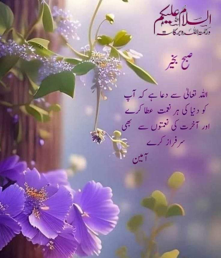 Malik Zamad tweet media
