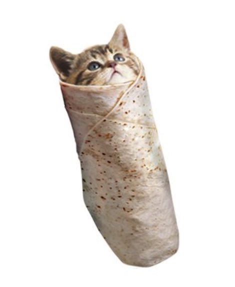 <a href="/giobhee/">gio.eth12</a> <a href="/MAGACoinX/">MAGA Coin</a> Hey is this how Haitians are making their burritos? Or should I call it a $PURITO 

CA on PF

ACvjqsnJkavvtSLKqHi3Z3t4QmHsoauqNBG4xQUupump