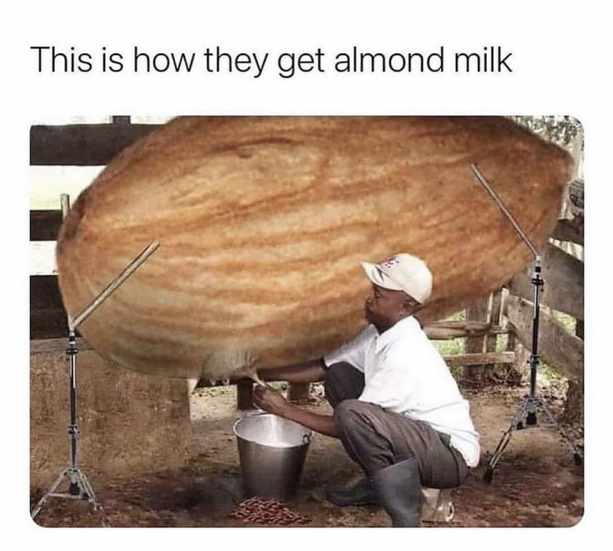 😂