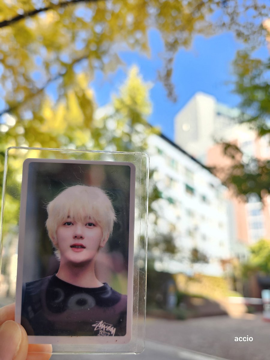 24OFJifvrTWtVgz's tweet photo. 이쁜 금머리 사진으로 가을을 즐기게 해주고 싶어서..ㅋㅋ사진 찍었는데 ㅋㅋㅋ도구리 ㅋㅋㅋ도구리 스마트톡 압박ㅋㅋㅋㅋ #DOGURI https://t.co/cGGww0xJRf