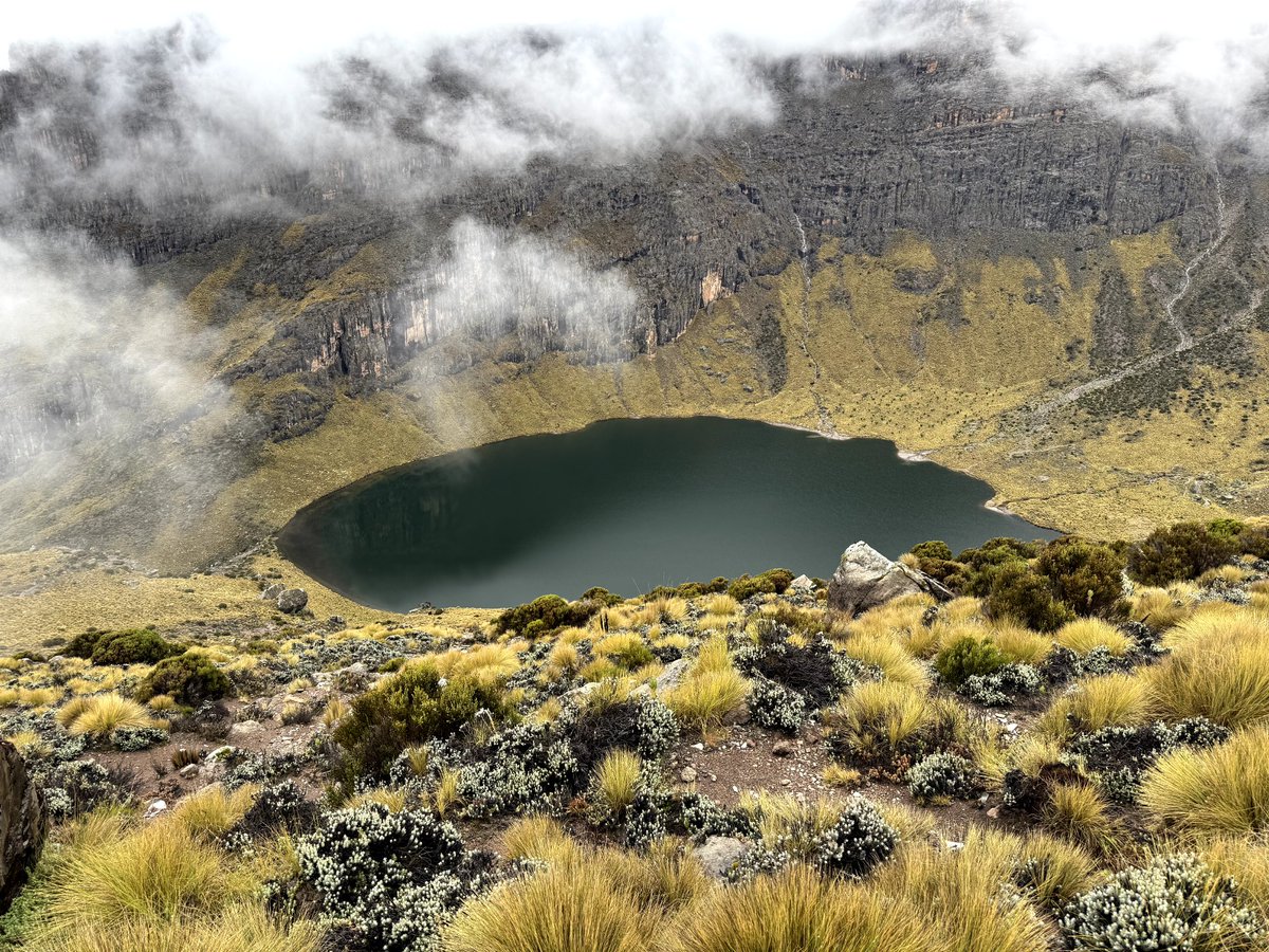 SammySpikytours's tweet photo. Plan Your Next Adventure with @SpikyTours 
For #Mtkenya #Kilimanjaro #Masaimara #Serengeti

WhatsApp or Email us Today 👇 
📲 +254796597208
📧 info@spikytours.com 

GETTING THERE STARTS WITH US https://t.co/uEdB7toBYs