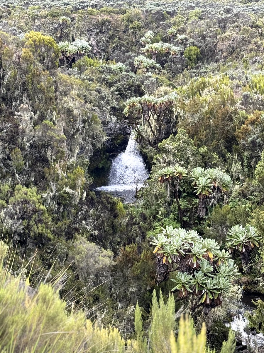 Plan Your Next Adventure with <a href="/SpikyTours/">Spiky Tours</a> 
For #Mtkenya #Kilimanjaro #Masaimara #Serengeti

WhatsApp or Email us Today 👇 
📲 +254796597208
📧 info@spikytours.com 

GETTING THERE STARTS WITH US