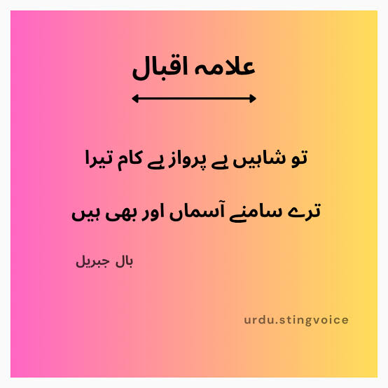 Happy Iqbal Day, a poet who shaped the way towards an independent country Pakistan.