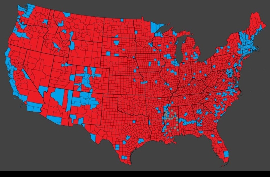 DavidJUrban's tweet photo. "This is without question, the greatest political comeback in American political history...it's a remarkable mandate and testiment to the resiliency of @realDonaldTrump."
Presidential historian Mark Updegrove.  #PopularVote  #ElectoralCollege #45and47 #Mandate https://t.co/EEBwZeQblw