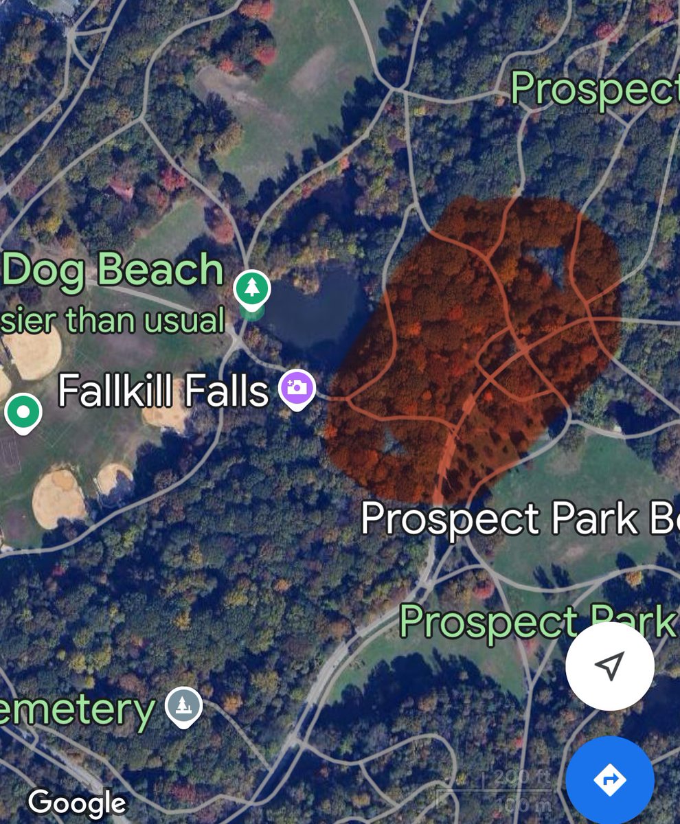 This is the area in Prospect Park Brooklyn that appears to be on fire.