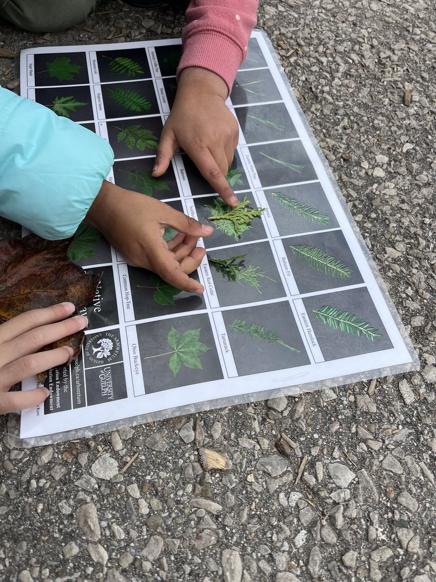 Ms.Persaud’s Falcons tweet media