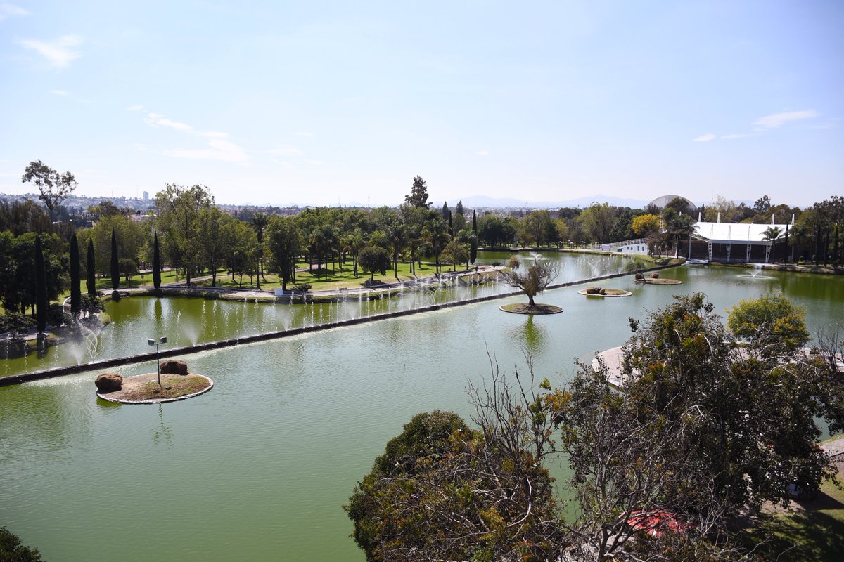 ParquesPuebla's tweet photo. Disfruta de un día al aire libre en el Parque Ecológico. Aquí podrás hacer picnic, practicar      deportes o simplemente pasear en lancha por el lago 🦆🌳. ¡Un oasis en la ciudad! #ViveTuParque #Puebla https://t.co/m06GXimJ6c