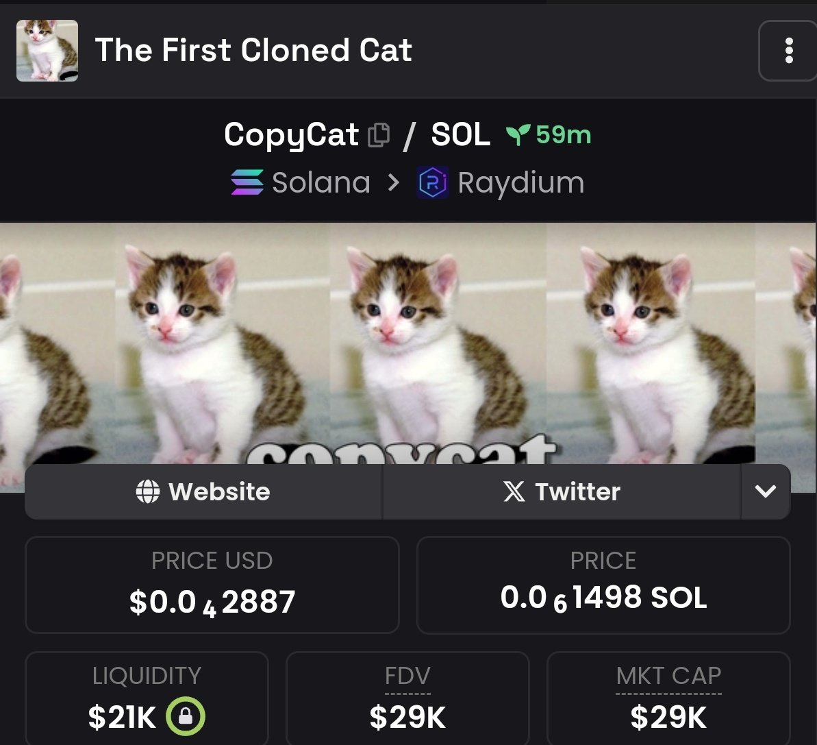 $copycat

Hbs5yP2HvP2CujwMuiA9nAQzSjw7QeX4ZKkMd6oupump